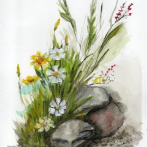Flores y Rocas