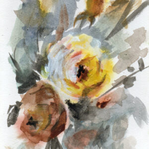 Rosas libres