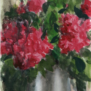 Camelias rojas
